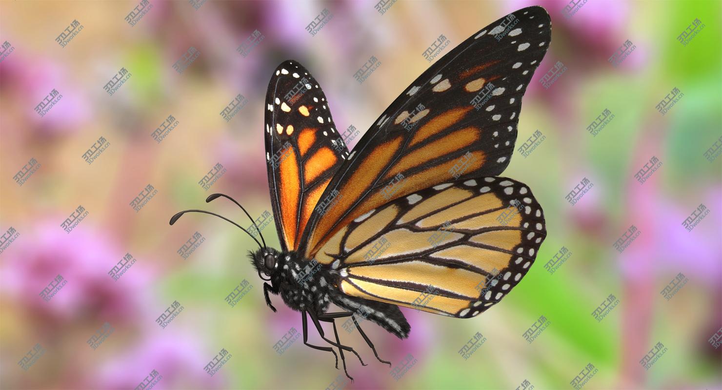 images/goods_img/202104094/Monarch Butterfly Rigged 3D/1.jpg